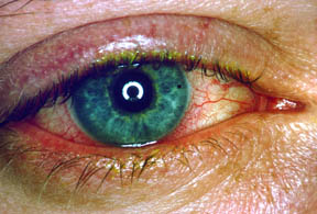 bild2078
