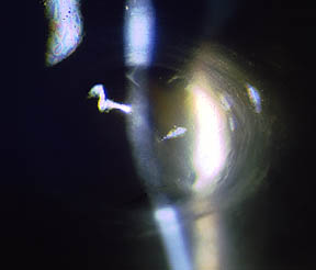 bild 2.23