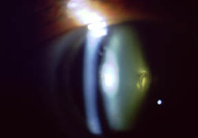 bild 2.53