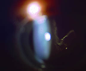 bild 2.60